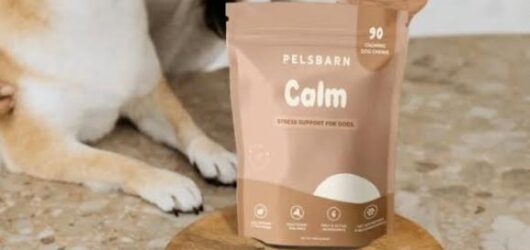10 Healthiest Dog Treats on Amazon (Vet-Approved in (2026)