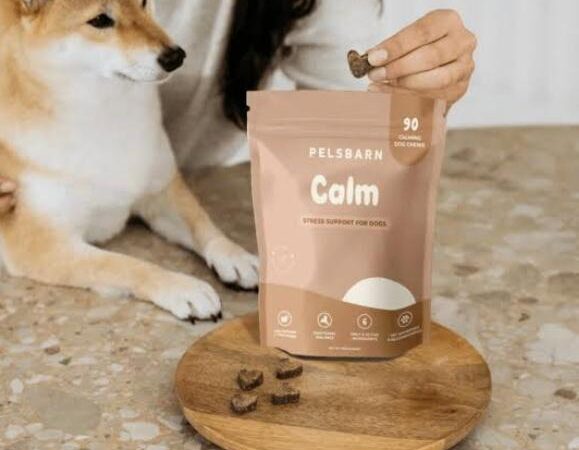 10 Healthiest Dog Treats on Amazon (Vet-Approved in (2026)