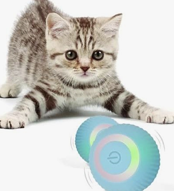15 Indoor Cat Mental Stimulation Hacks to Stop Feline Boredom