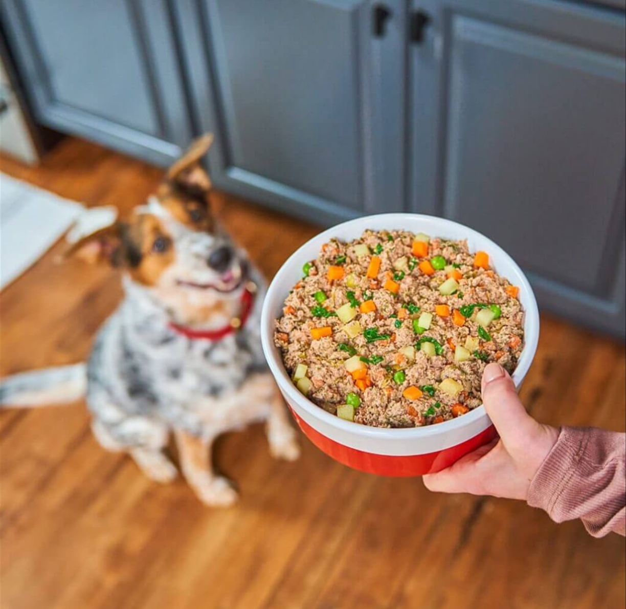 Best Premium Dog Food for Sensitive Stomachs in 2026: Vet-Approved Brands & Buying Guide