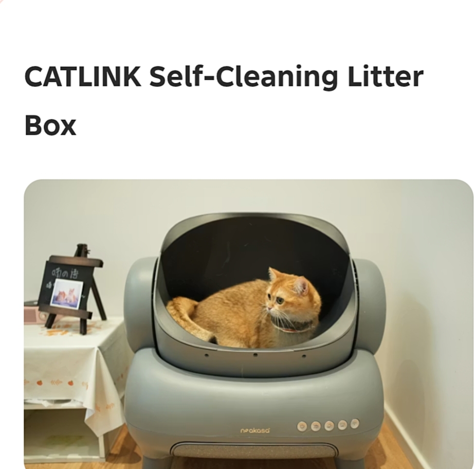 Best Automatic Litter Box 2026: Top Self-Cleaning Models for Cats (Reviews & Costs)