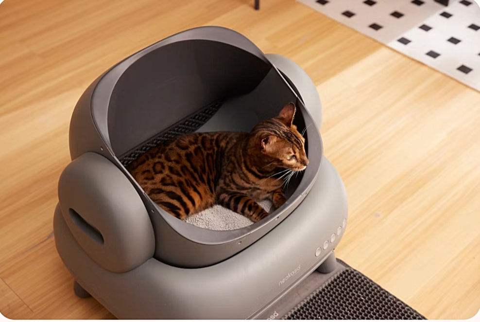 Best Automatic Litter Boxes 2026: Self-Cleaning Models That Actually Work